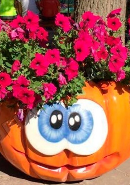 Вазон тыква 0,6 метра